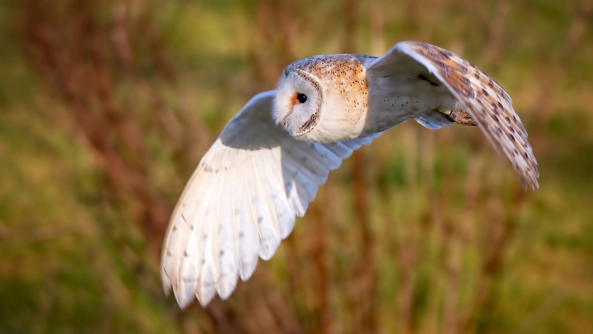 拉什福德关键制胜锁定胜局，牙买加一波带走克罗地亚爆冷门