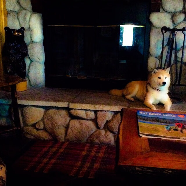 西亚卡姆狂砍50分刷新纪录，浙江队力克广东队上演惊天逆转