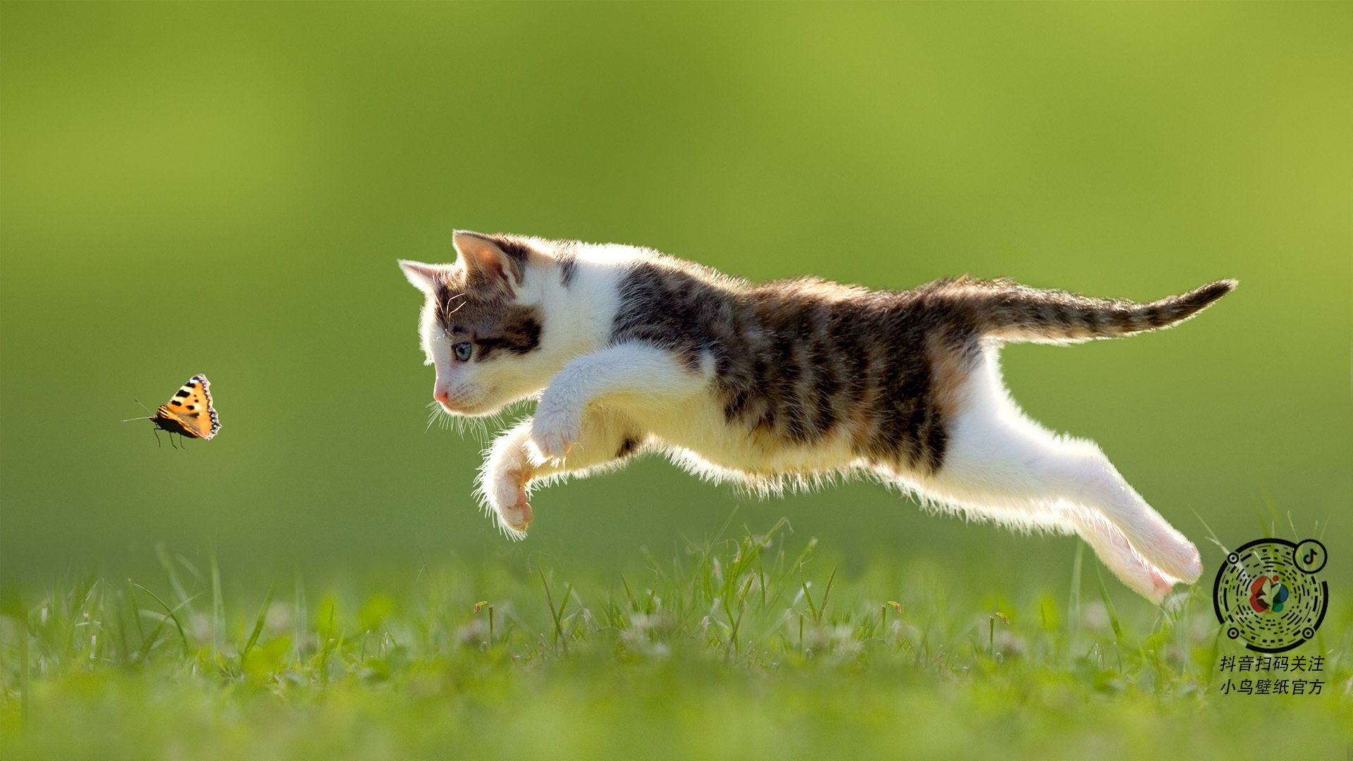 足坛地震！美加墨世界杯焦点战 洪都拉斯奇迹斩落西班牙黄金军团