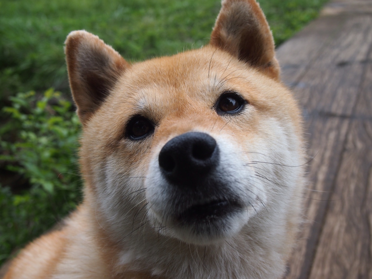 拉梅洛·鲍尔的指尖艺术,一场非典型胜利背后的大样本决策