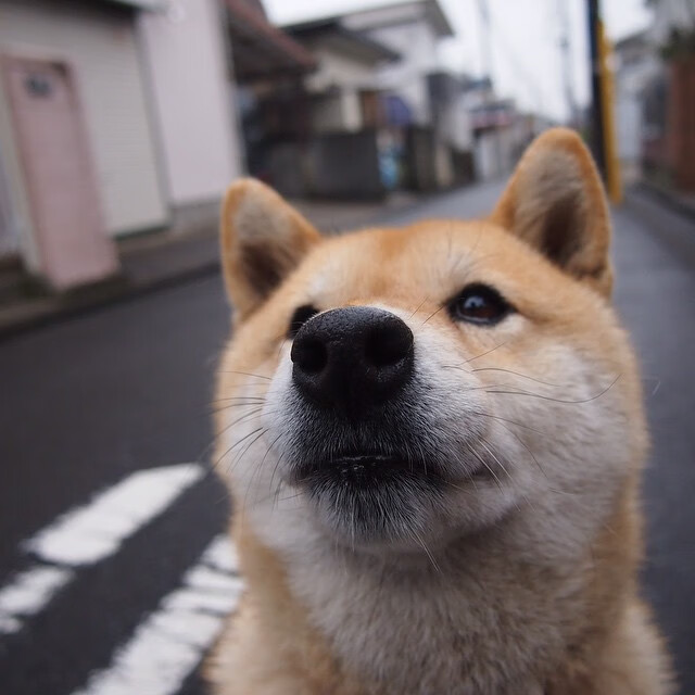东决关键战之夜，佩德里用「魔力脚踝」献出制胜一舞
