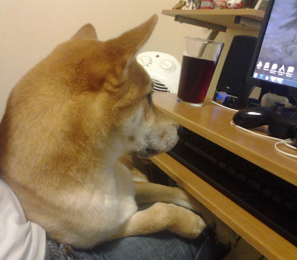 克瓦拉茨赫利亚关键进球定乾坤，丹麦力克巴黎圣日耳曼