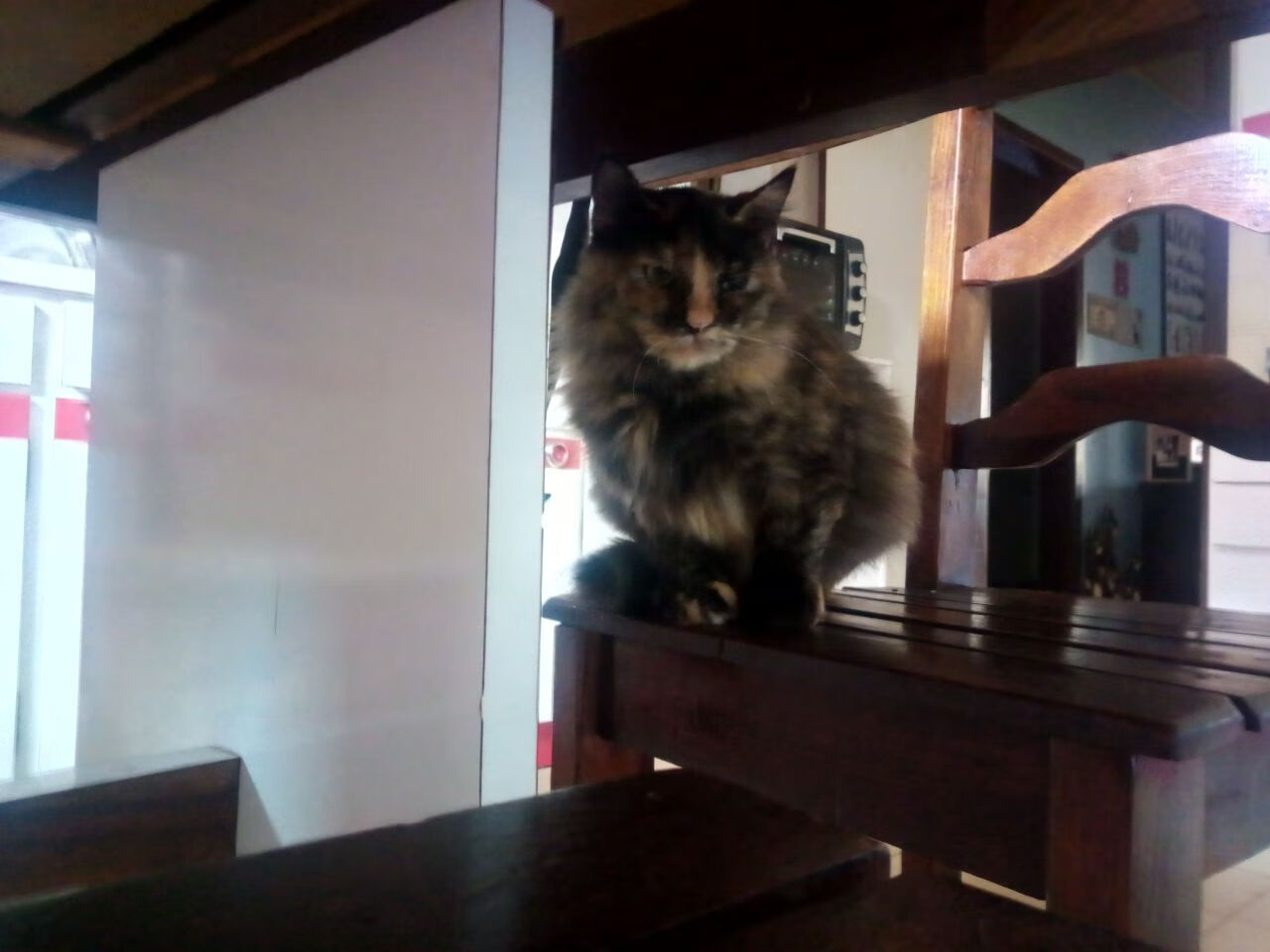 萨内统治级表现引爆全场!厄瓜多尔虽败犹荣,枪手天才光芒难掩