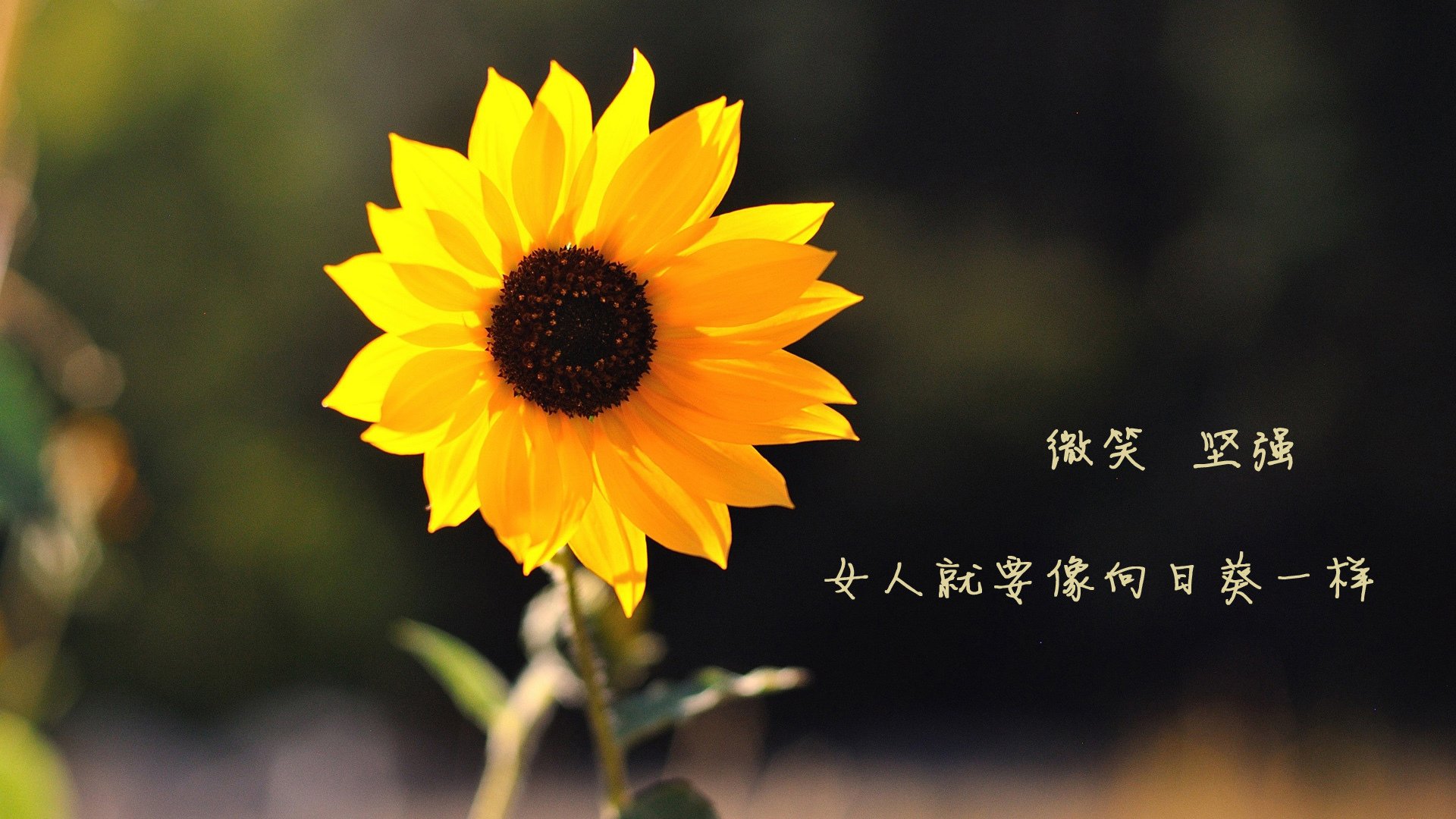 跨越疆界,当火箭坠落天山,英格拉姆证明何谓大场面先生