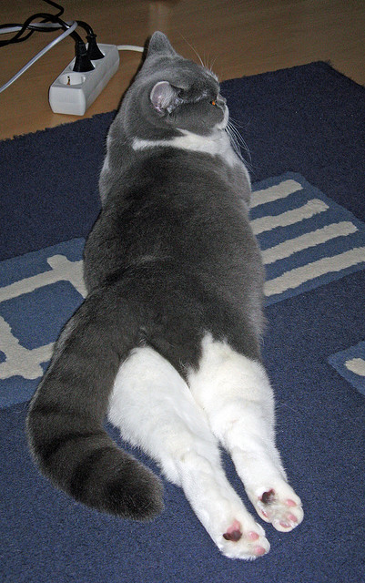 横扫爵士，爱德华兹临危救主成广厦关键先生