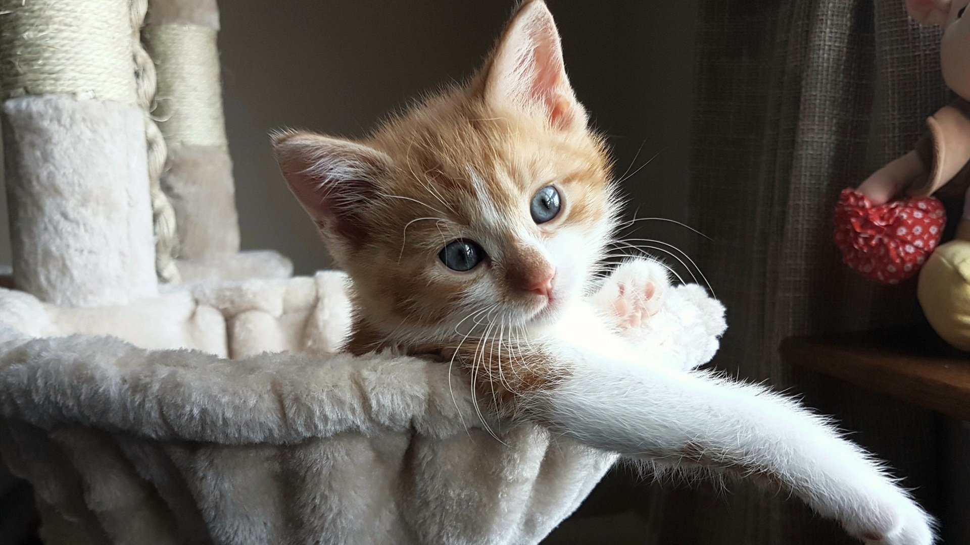 约基奇三双统治跨洋对决，公牛险胜吉林队显战术优势