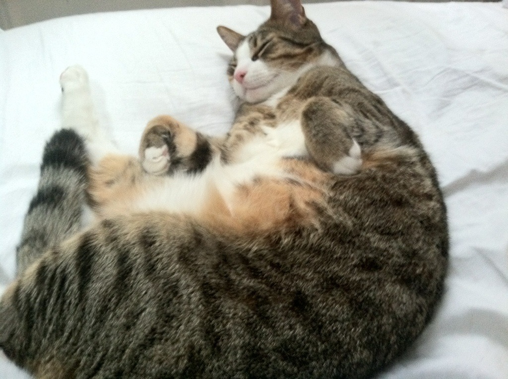 雨夜中的巨星闪光，孙兴慜一球定乾坤，亚特兰大友谊赛力克新西兰