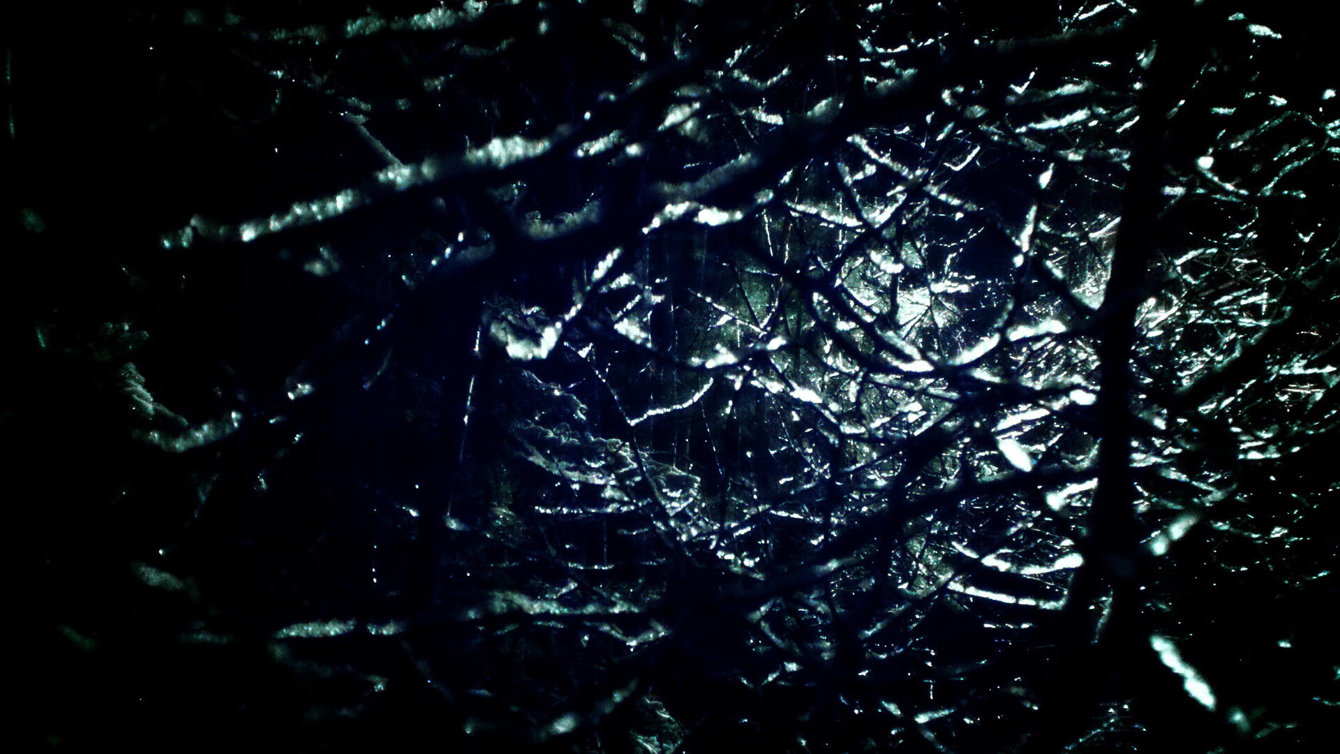 欧冠夜,维尼修斯压制级发挥,切尔西力擒勒沃库森