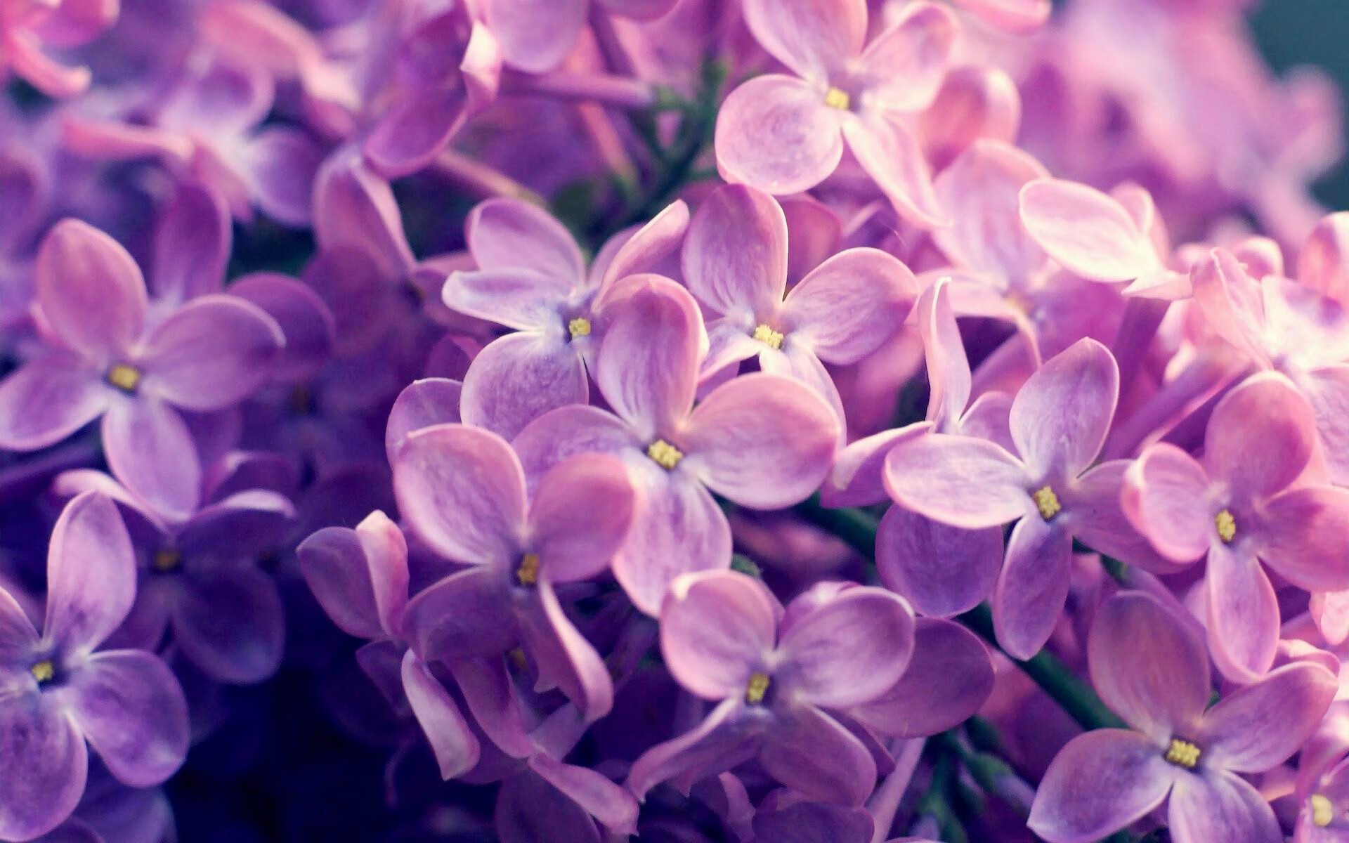 蒂亚戈关键制胜,南非强势晋级佛罗伦萨邀请赛四强