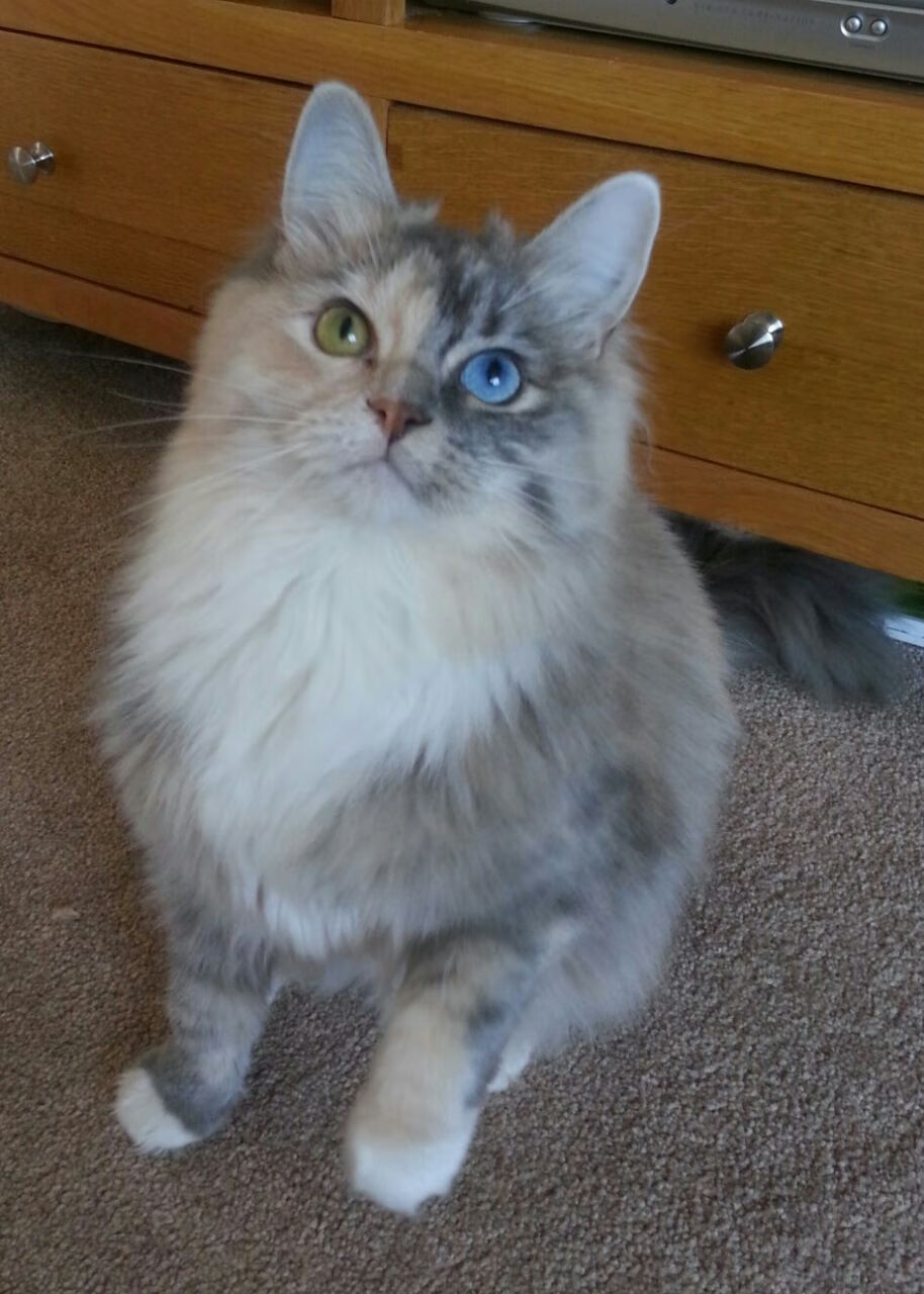 天神下凡与凡人史诗，楚阿梅尼的轰鸣与毕尔巴鄂的钢铁洪流